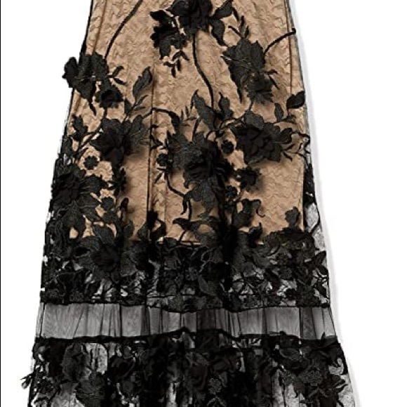 Dress the Population Lace Dress - Picture 3 of 5